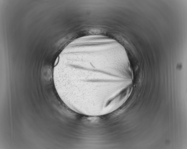 X0000089960478200707271905