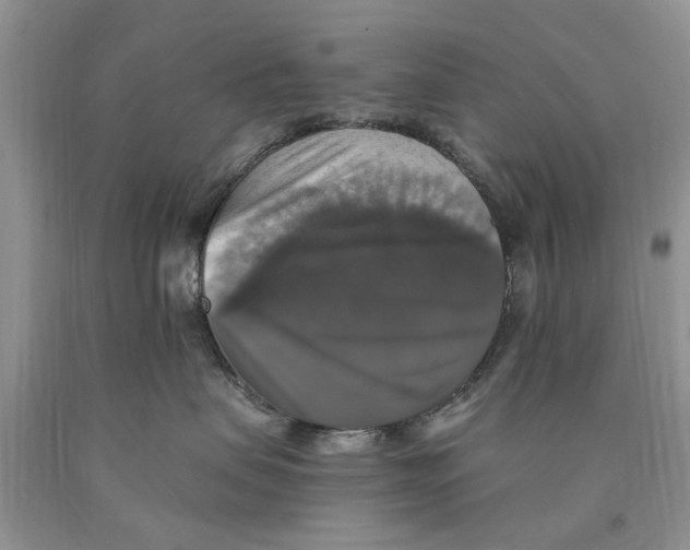 X0000089960479200707271905