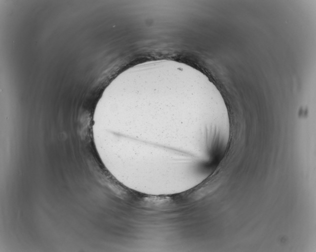 X0000089960480200707271905