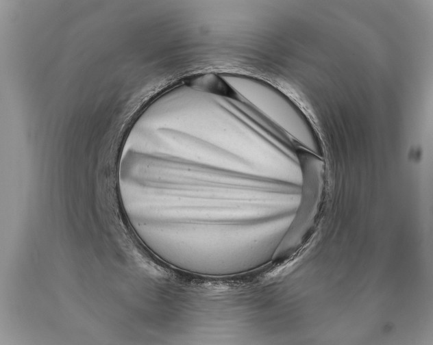 X0000089960481200707271904