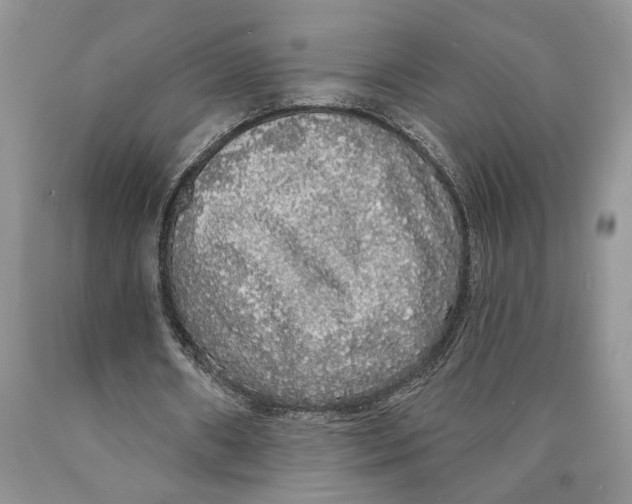 X0000089960482200707271904