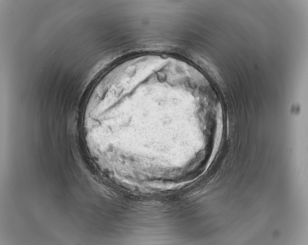 X0000089960483200707271904