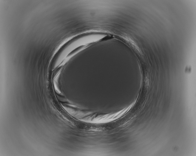 X0000089960484200707271904