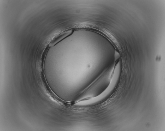 X0000089960485200707271904