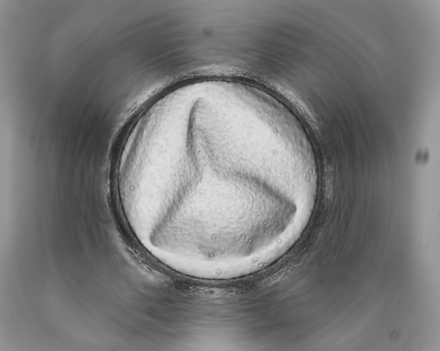 X0000089960486200707271904