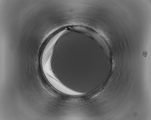 X0000089960488200707271904