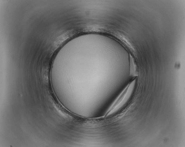 X0000089960489200707271904