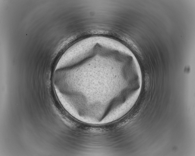 X0000089960490200707271904