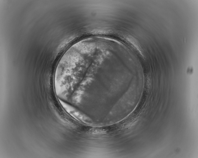 X0000089960491200707271904