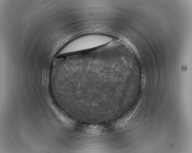 X0000089960493200707271904