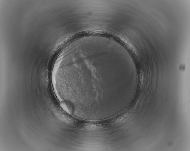 X0000089960494200707271904