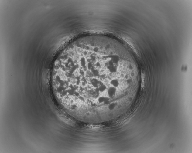 X0000089960495200707271904