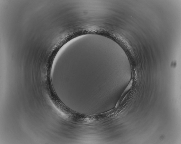 X0000089960496200707271904