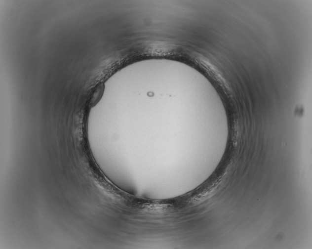 X0000089960497200707271904