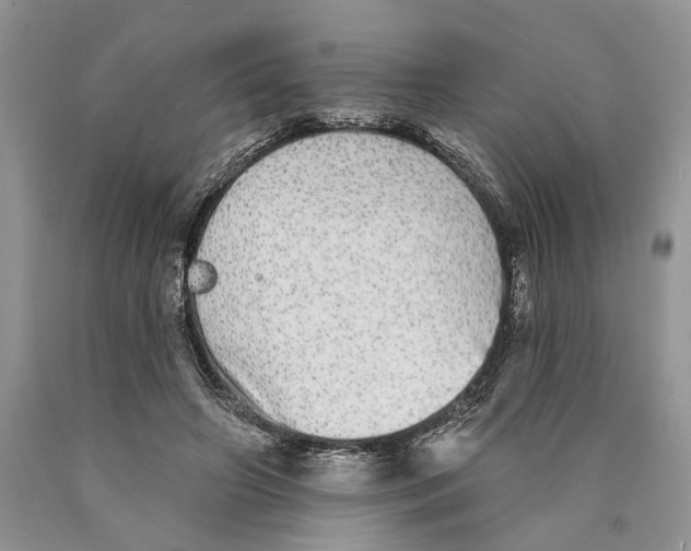 X0000089960498200707271904