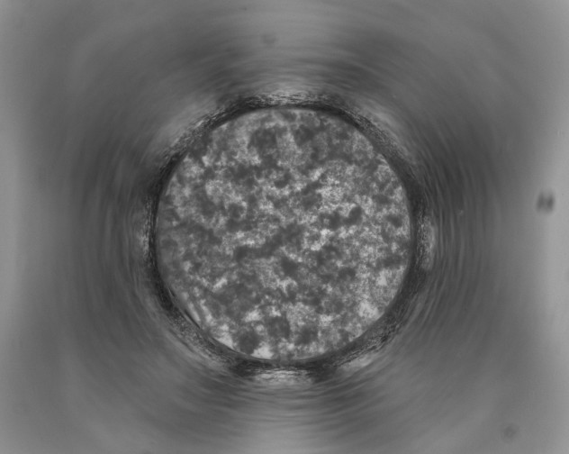 X0000089960499200707271904