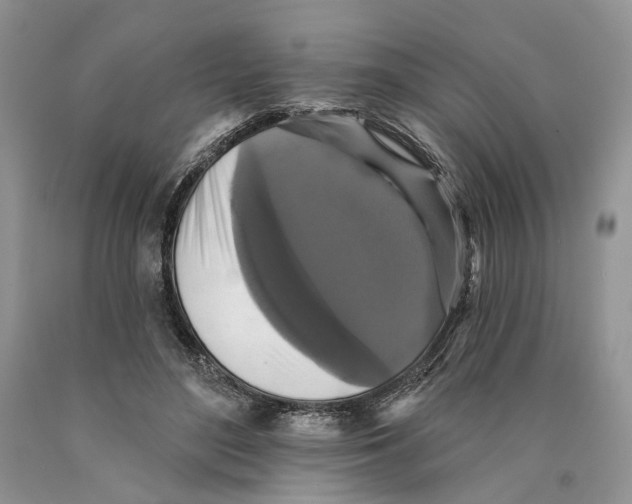 X0000089960500200707271904