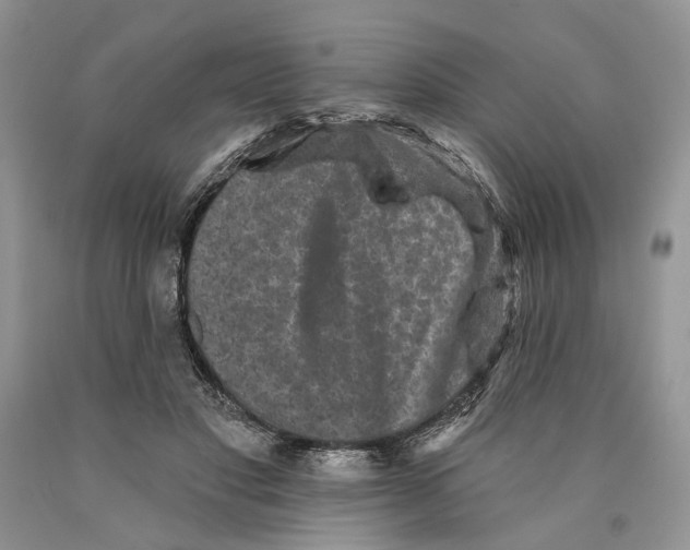 X0000089960501200707271904