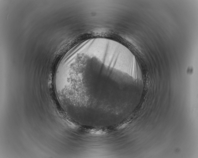 X0000089960502200707271904