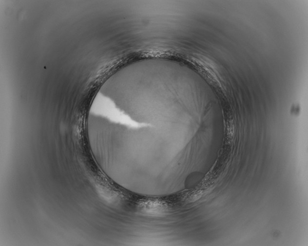 X0000089960503200707271904