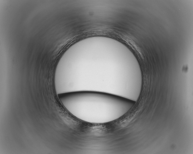 X0000089960505200707271904