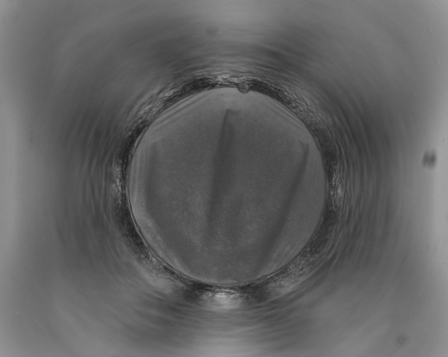 X0000089960506200707271904