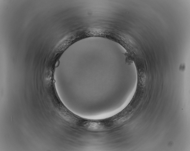 X0000089960507200707271904