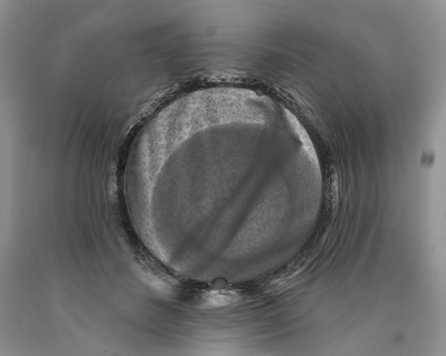 X0000089960508200707271904