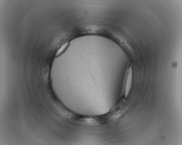 X0000089960509200707271904