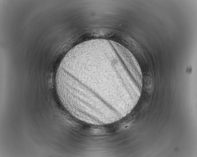 X0000089960510200707271904