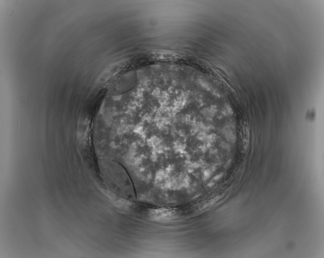 X0000089960511200707271904