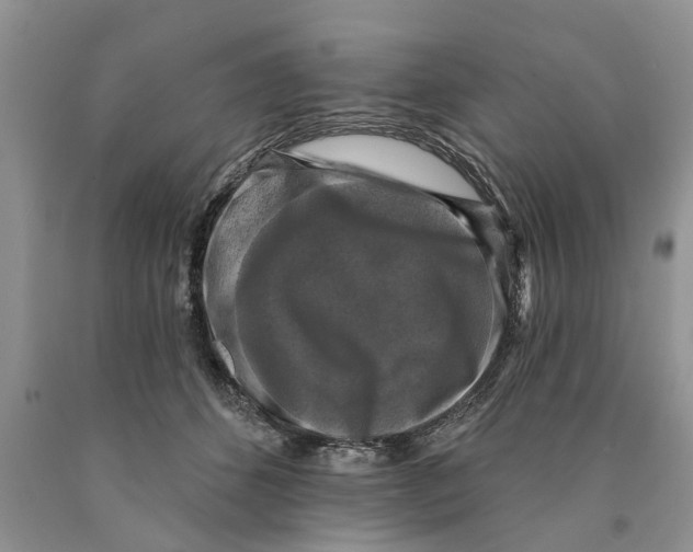 X0000089960512200707271904