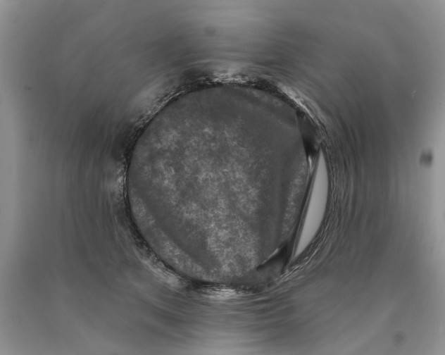 X0000089960513200707271904