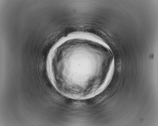 X0000089960515200707271904