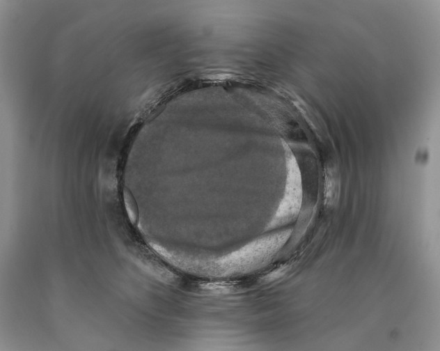 X0000089960516200707271904