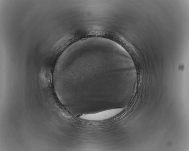 X0000089960517200707271904