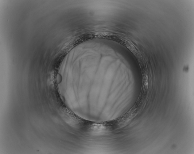 X0000089960519200707271904