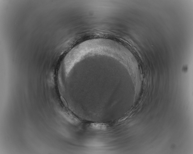 X0000089960520200707271904