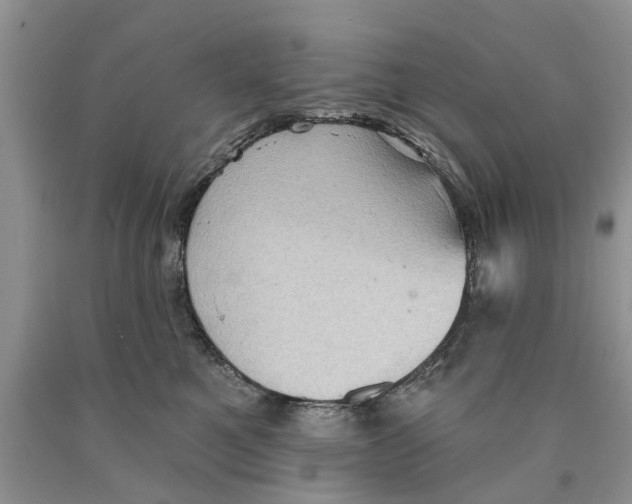 X0000089960521200707271904