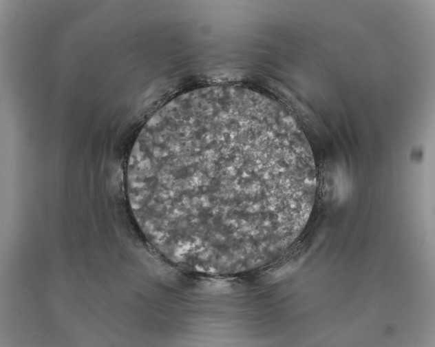 X0000089960523200707271904