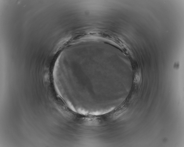 X0000089960524200707271904