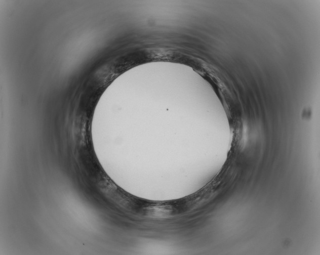 X0000089960525200707271904