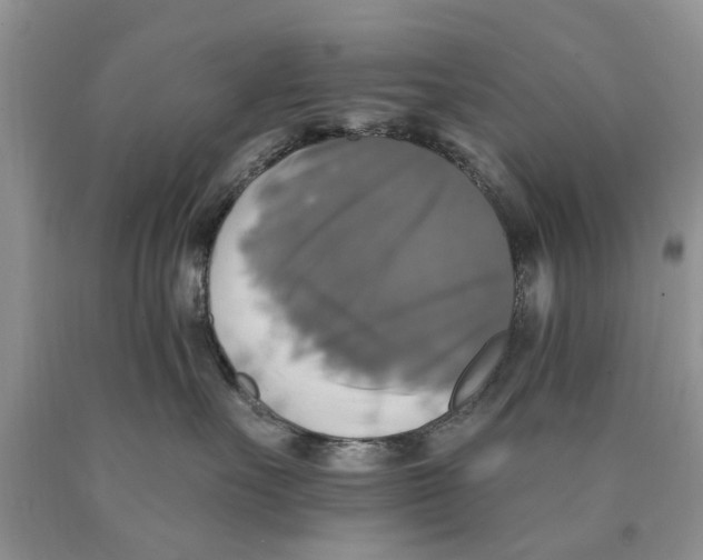 X0000089960527200707271904