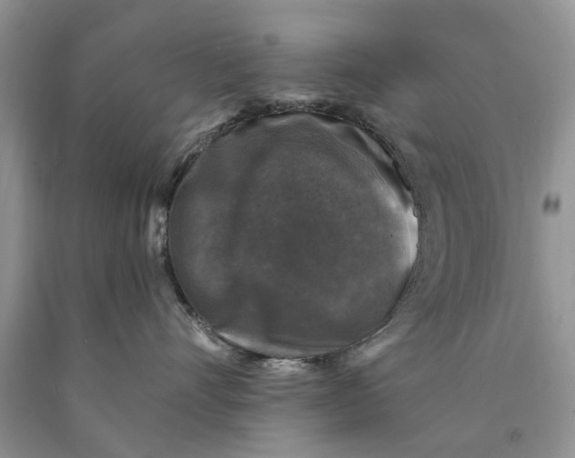 X0000089960528200707271904