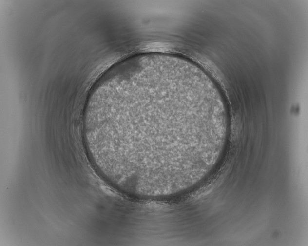 X0000089960529200707271903