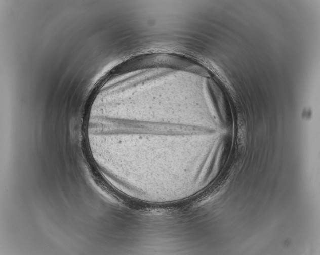 X0000089960530200707271903