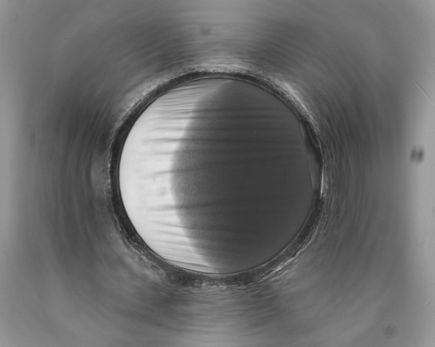 X0000089960531200707271903