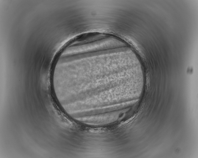 X0000089960532200707271903