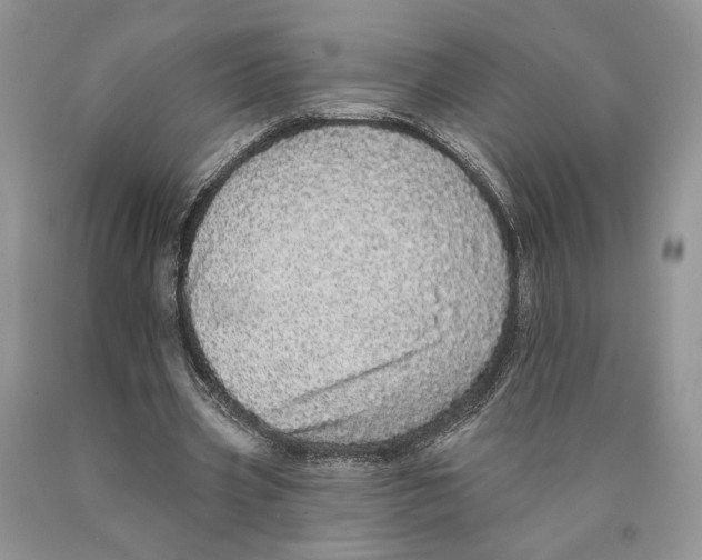 X0000089960533200707271903