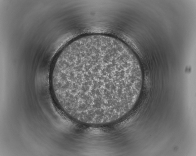 X0000089960534200707271903